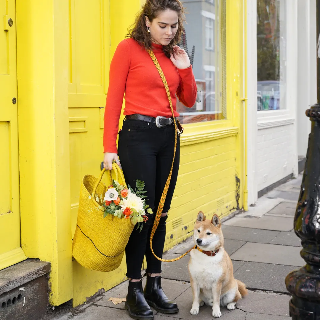 Fireworks Hands Free (Coupler) Dog Lead