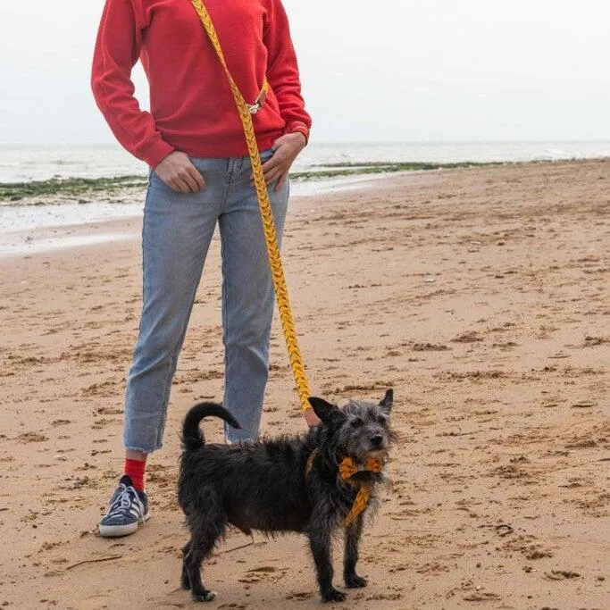 Fireworks Hands Free (Coupler) Dog Lead