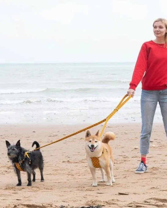Fireworks Hands Free (Coupler) Dog Lead