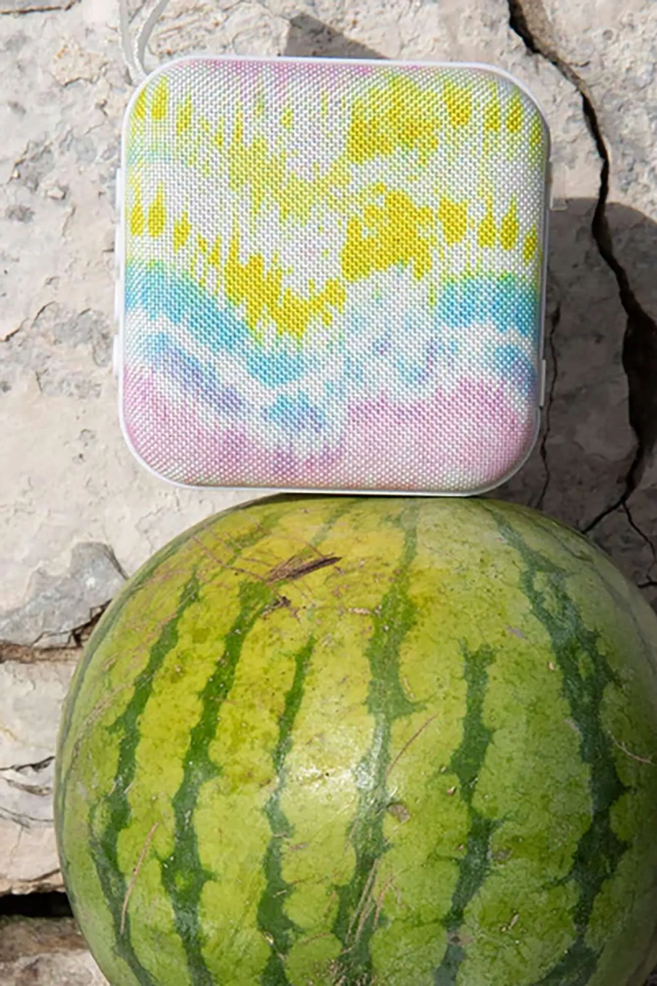 Travel Speaker